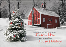 Nature’s Gratitude Holiday Greeting Cards
